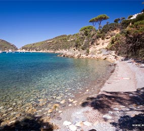 Spiaggia del Viticcio, Elba